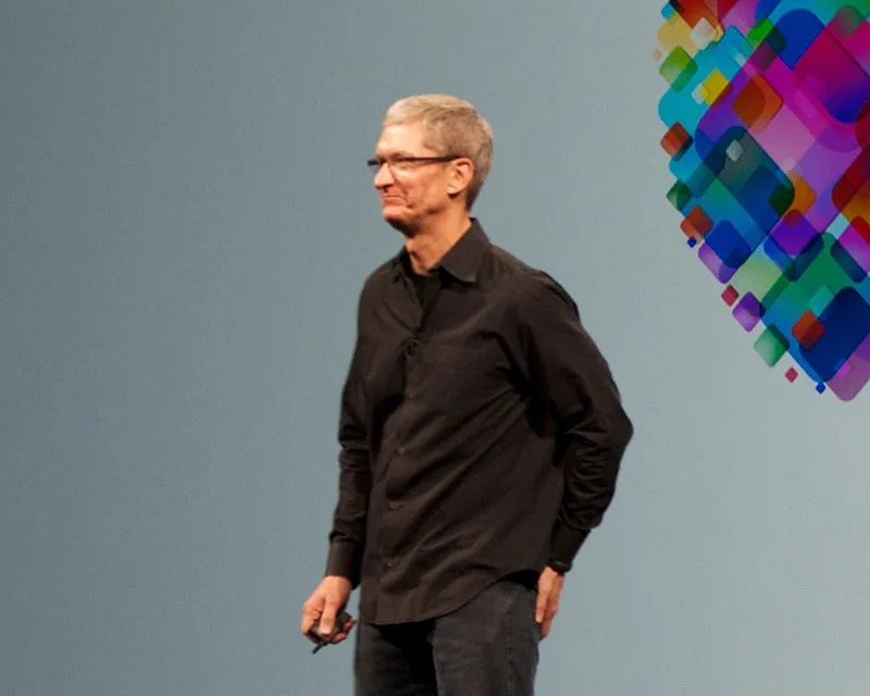 tim cook , apple inc ceo